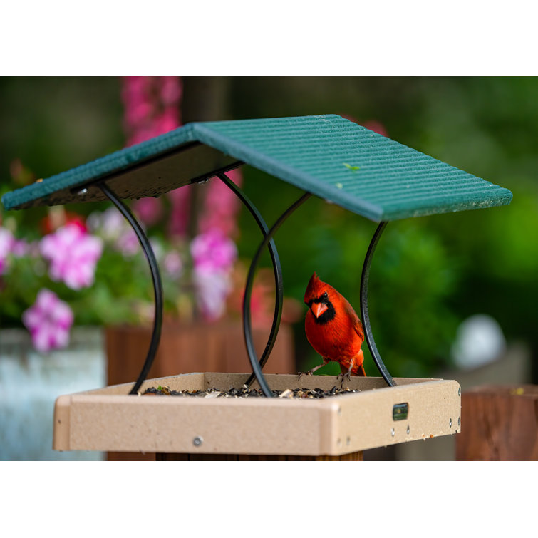 Birds Choice Pole Tray Bird Feeder & Reviews - Wayfair Canada